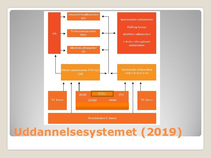 FGU Uddannelsesystemet (2019) 