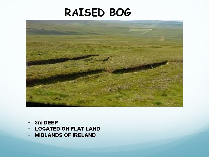RAISED BOG • 8 m DEEP • LOCATED ON FLAT LAND • MIDLANDS OF