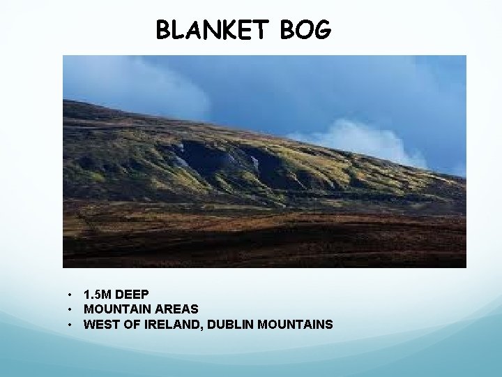 BLANKET BOG • 1. 5 M DEEP • MOUNTAIN AREAS • WEST OF IRELAND,