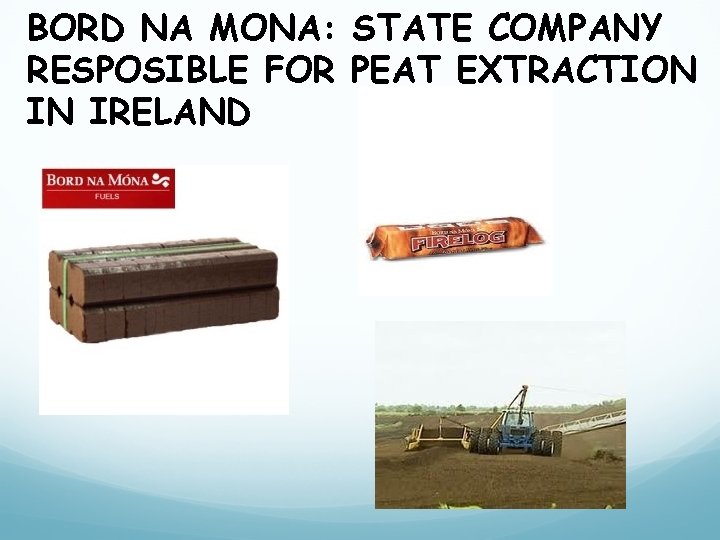 BORD NA MONA: STATE COMPANY RESPOSIBLE FOR PEAT EXTRACTION IN IRELAND 
