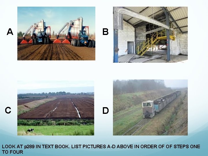 A B C D LOOK AT p 289 IN TEXT BOOK. LIST PICTURES A-D