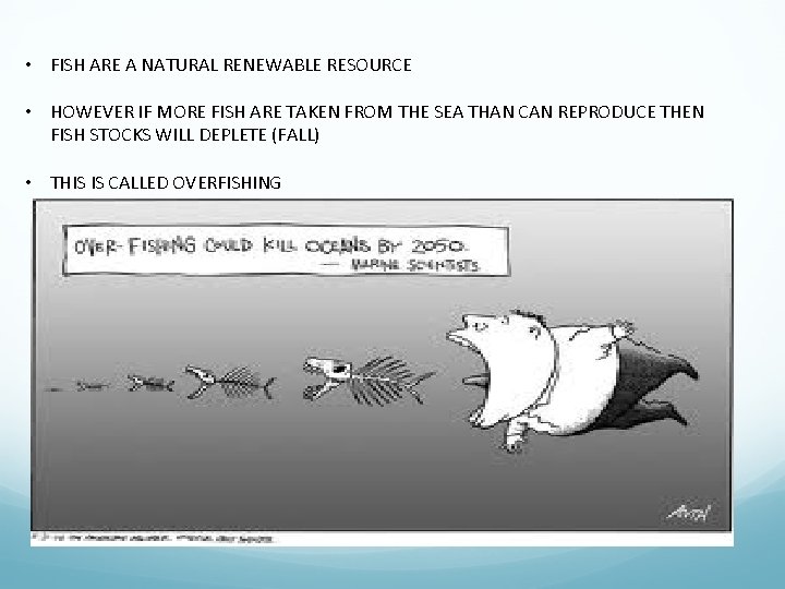  • FISH ARE A NATURAL RENEWABLE RESOURCE • HOWEVER IF MORE FISH ARE