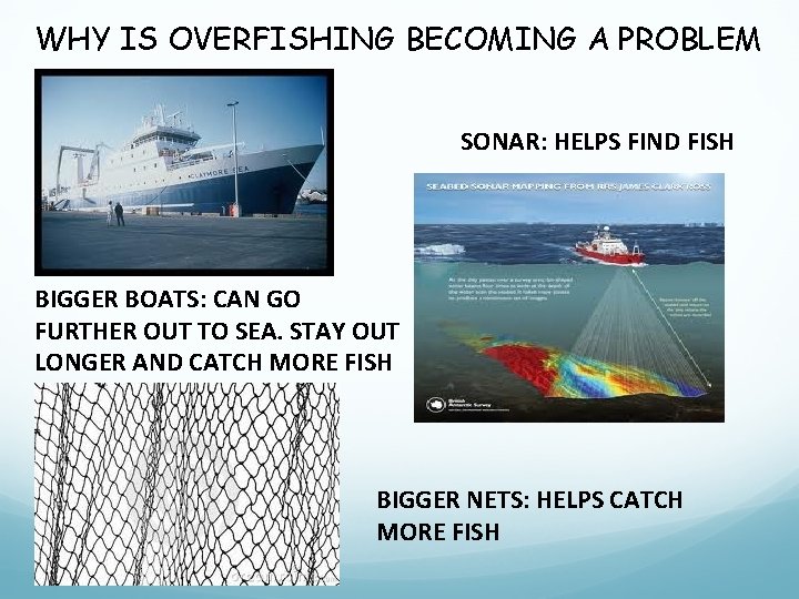 WHY IS OVERFISHING BECOMING A PROBLEM SONAR: HELPS FIND FISH BIGGER BOATS: CAN GO