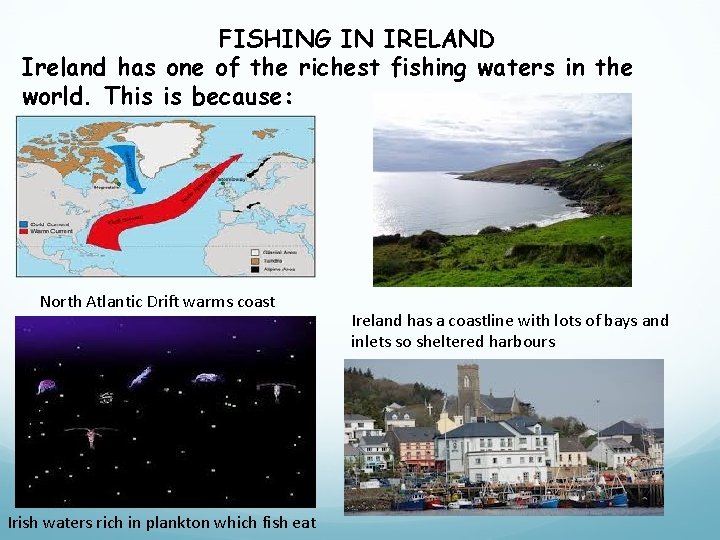FISHING IN IRELAND Ireland has one of the richest fishing waters in the world.