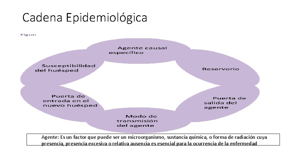 Cadena Epidemiológica Agente: Es un factor que puede ser un microorganismo, sustancia química, o