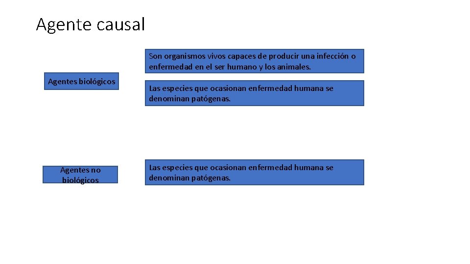 Agente causal Son organismos vivos capaces de producir una infección o enfermedad en el