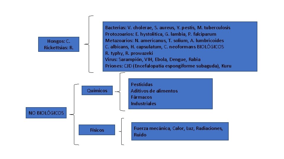 Bacterias: V. cholerae, S. aureus, Y. pestis, M. tuberculosis Protozoarios: E. hystolitica, G. lambia,