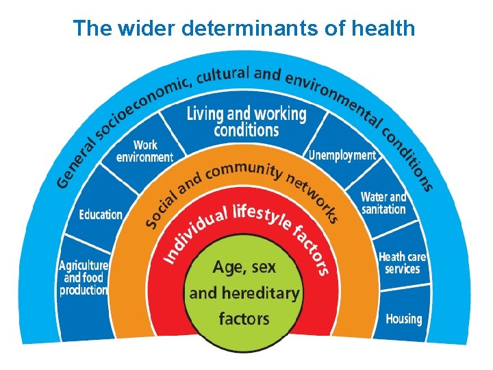 The wider determinants of health 