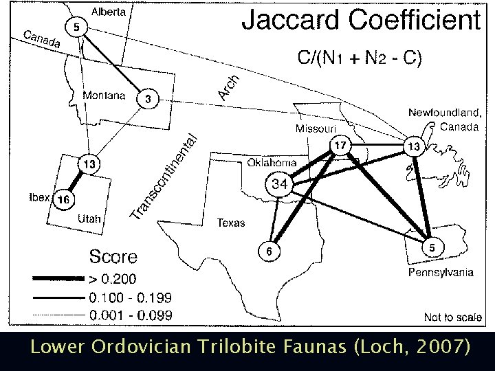 Lower Ordovician Trilobite Faunas (Loch, 2007) 