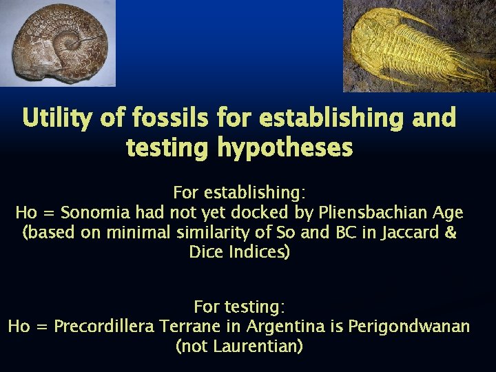Utility of fossils for establishing and testing hypotheses For establishing: Ho = Sonomia had
