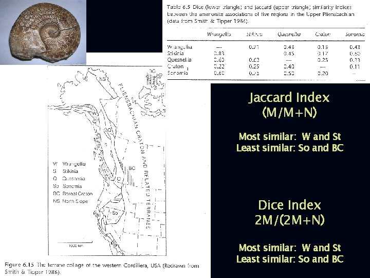 Jaccard Index (M/M+N) Most similar: W and St Least similar: So and BC Dice