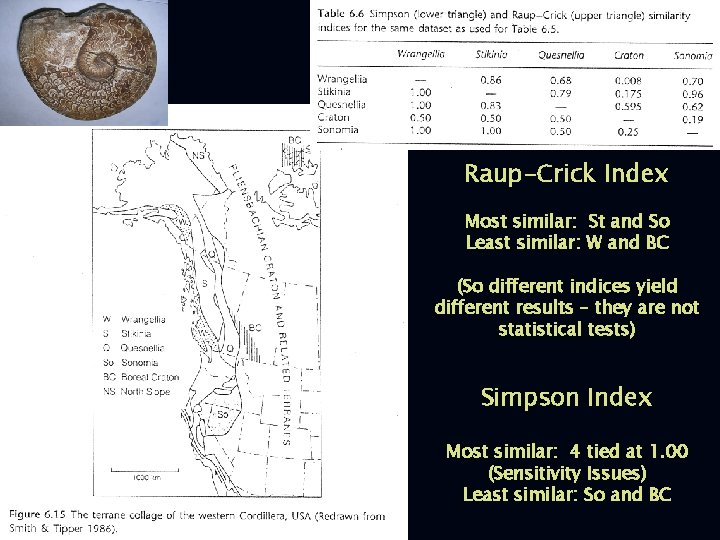 Raup-Crick Index Most similar: St and So Least similar: W and BC (So different