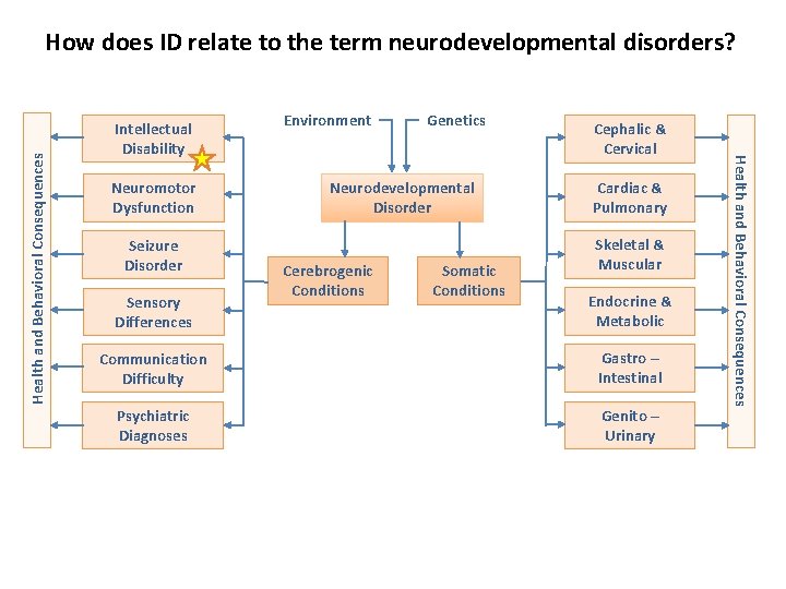 Intellectual Disability Neuromotor Dysfunction Seizure Disorder Sensory Differences Environment Genetics Neurodevelopmental Disorder Cerebrogenic Conditions