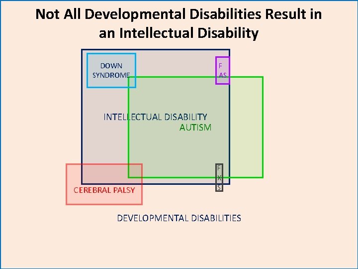 Not All Developmental Disabilities Result in an Intellectual Disability DOWN SYNDROME F AS INTELLECTUAL