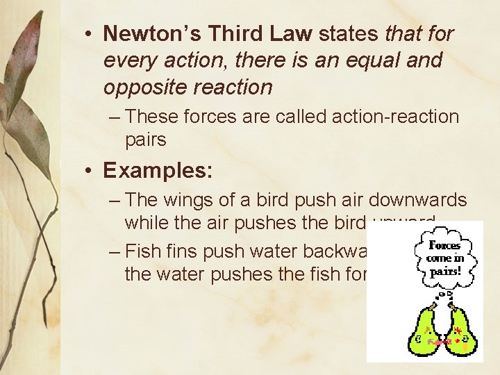  • Newton’s Third Law states that for every action, there is an equal