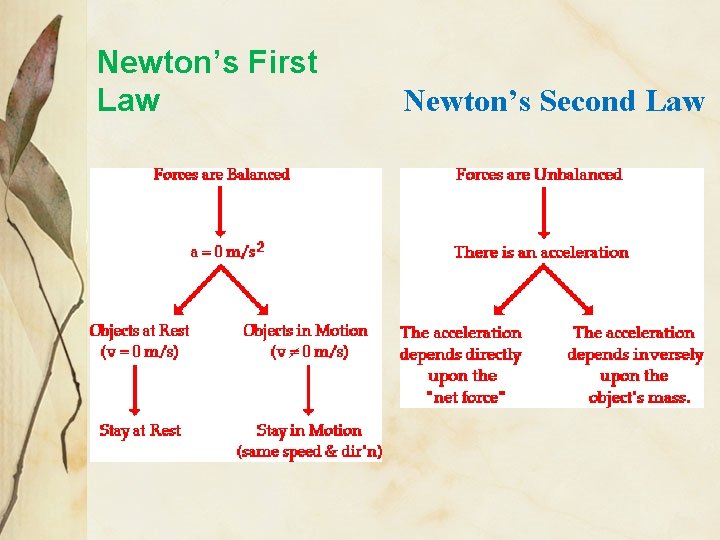 Newton’s First Law Newton’s Second Law 