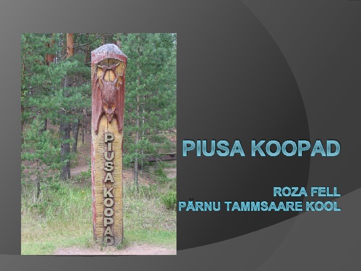 PIUSA KOOPAD ROZA FELL PÄRNU TAMMSAARE KOOL 