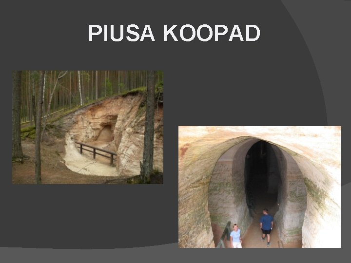 PIUSA KOOPAD 