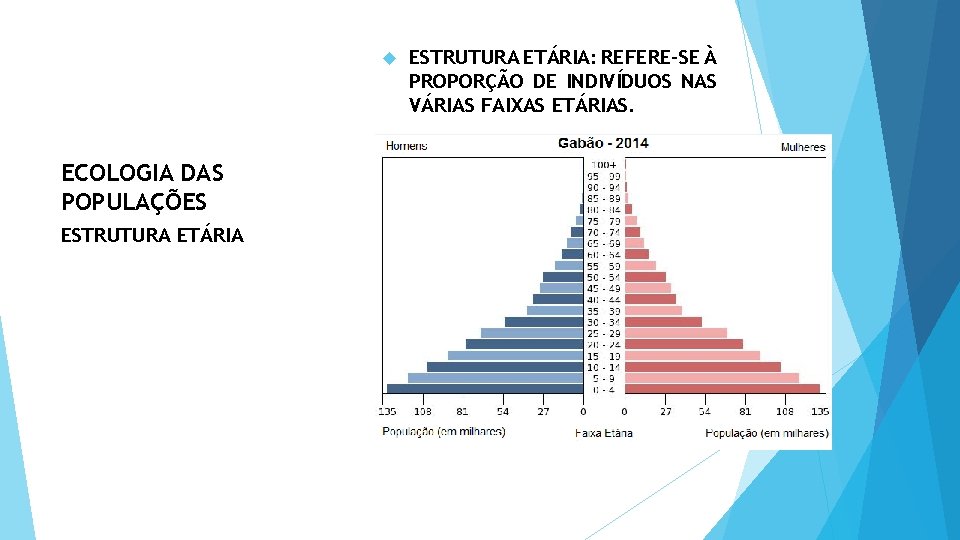  ECOLOGIA DAS POPULAÇÕES ESTRUTURA ETÁRIA: REFERE-SE À PROPORÇÃO DE INDIVÍDUOS NAS VÁRIAS FAIXAS