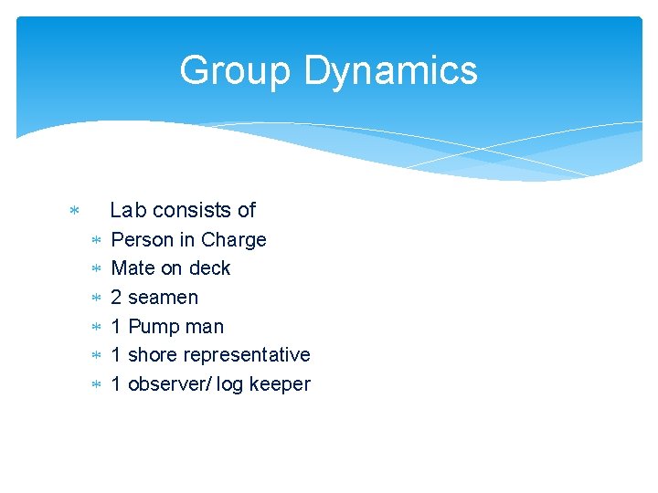 Group Dynamics A Lab consists of Person in Charge Mate on deck 2 seamen