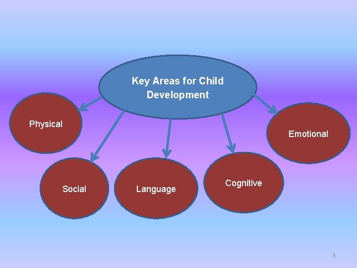 Key Areas for Child Development Physical Emotional Social Language Cognitive 3 