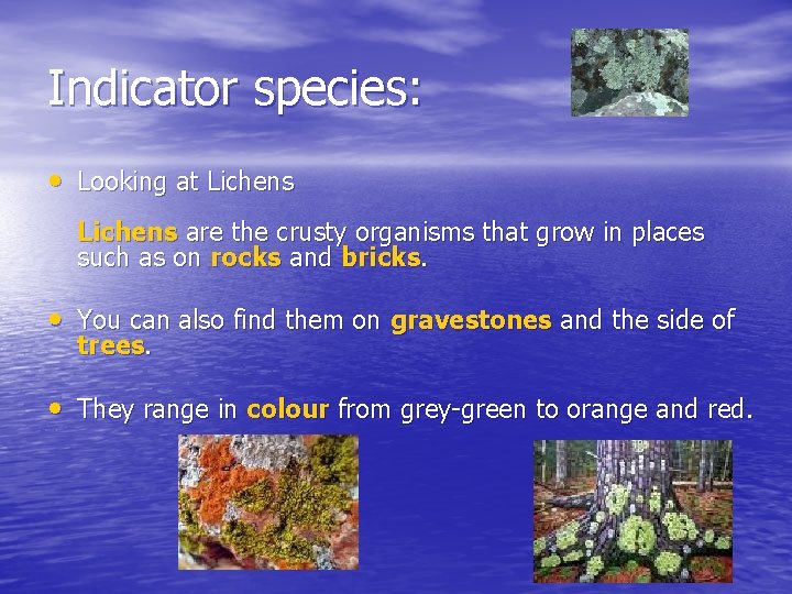 Indicator species: • Looking at Lichens are the crusty organisms that grow in places