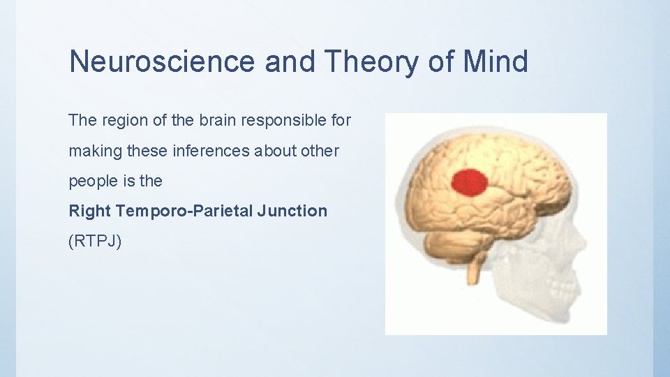 Neuroscience and Theory of Mind The region of the brain responsible for making these