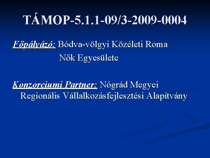 TÁMOP-5. 1. 1 -09/3 -2009 -0004 Főpályázó: Bódva-völgyi Közéleti Roma Nők Egyesülete Konzorciumi Partner: