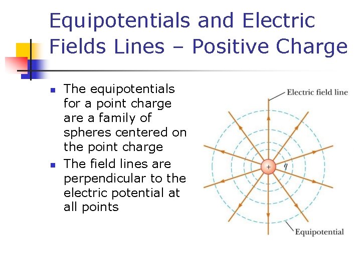 Equipotentials and Electric Fields Lines – Positive Charge n n The equipotentials for a
