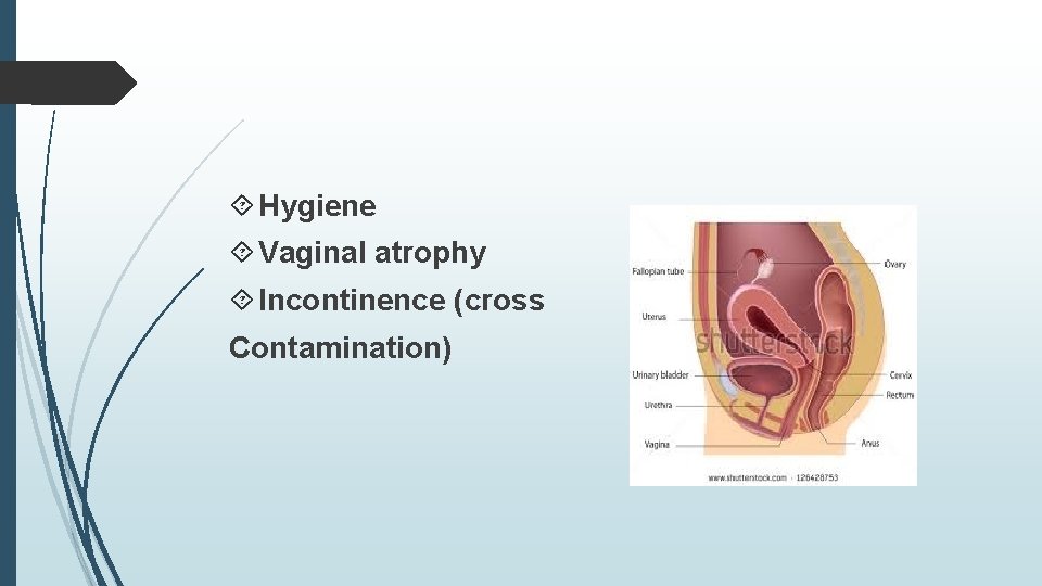  Hygiene Vaginal atrophy Incontinence (cross Contamination) 