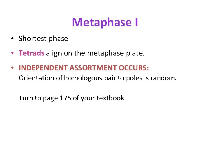 Metaphase I • Shortest phase • Tetrads align on the metaphase plate. • INDEPENDENT
