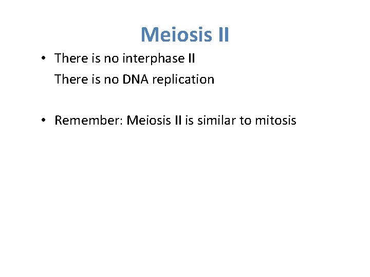Meiosis II • There is no interphase II There is no DNA replication •