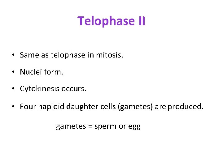 Telophase II • Same as telophase in mitosis. • Nuclei form. • Cytokinesis occurs.