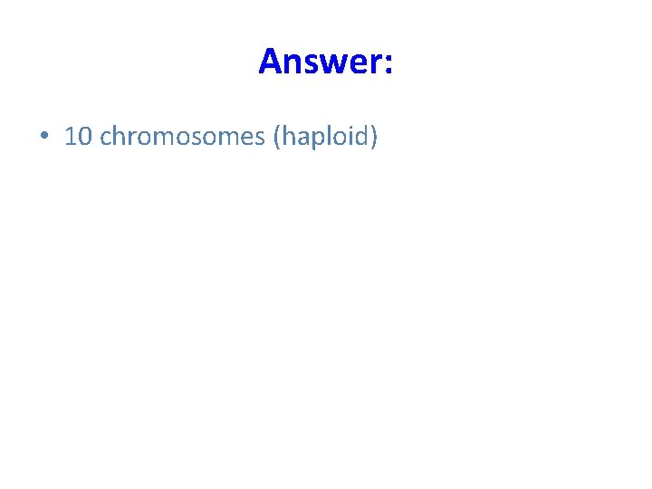 Answer: • 10 chromosomes (haploid) 