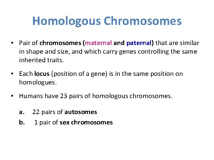 Homologous Chromosomes • Pair of chromosomes (maternal and paternal) that are similar in shape