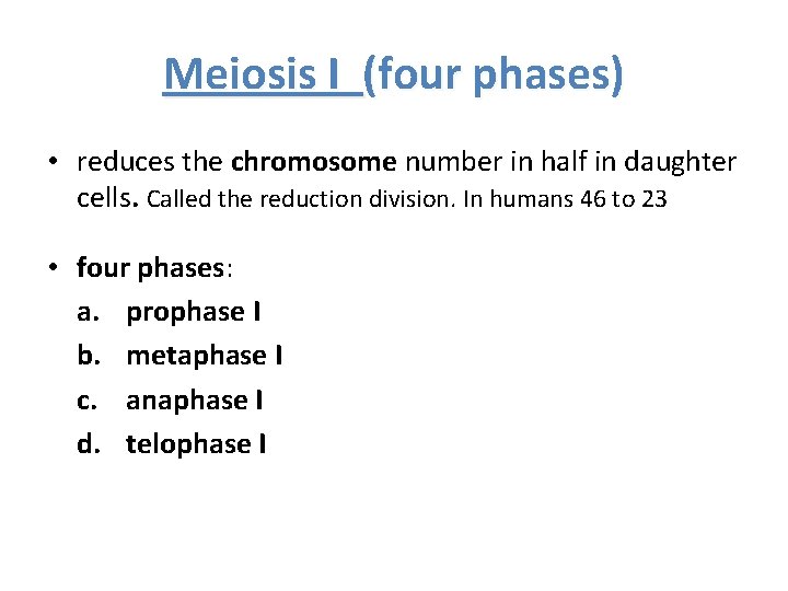 Meiosis I (four phases) • reduces the chromosome number in half in daughter cells.