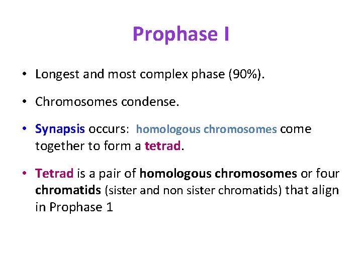 Prophase I • Longest and most complex phase (90%). • Chromosomes condense. • Synapsis