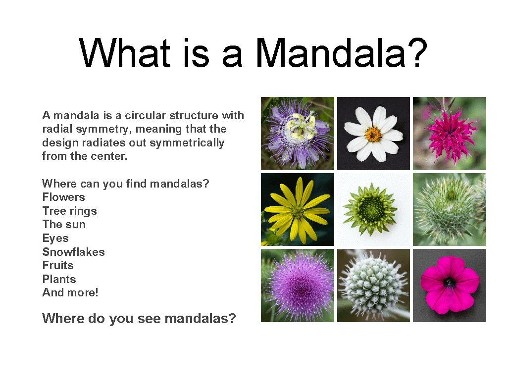 What is a Mandala? A mandala is a circular structure with radial symmetry, meaning