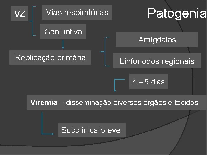 VZ Patogenia Vias respiratórias Conjuntiva Replicação primária Amígdalas Linfonodos regionais 4 – 5 dias