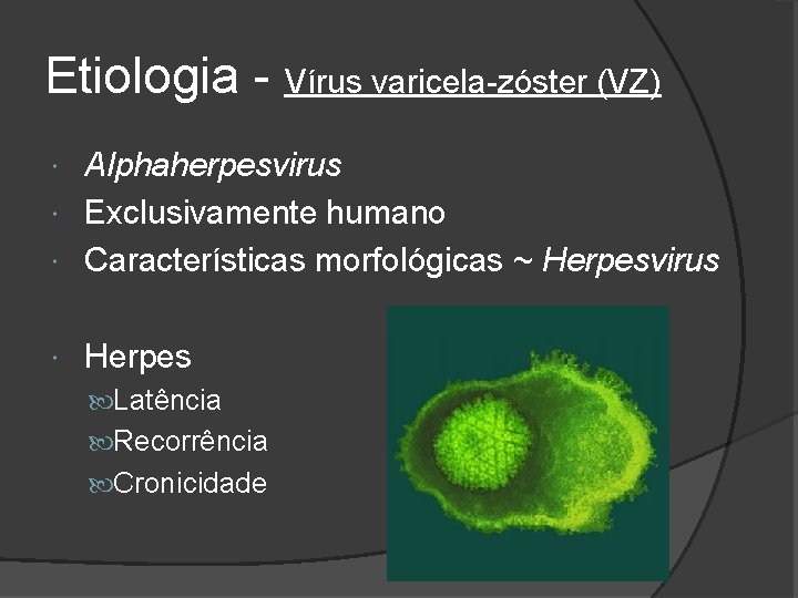 Etiologia - Vírus varicela-zóster (VZ) Alphaherpesvirus Exclusivamente humano Características morfológicas ~ Herpesvirus Herpes Latência