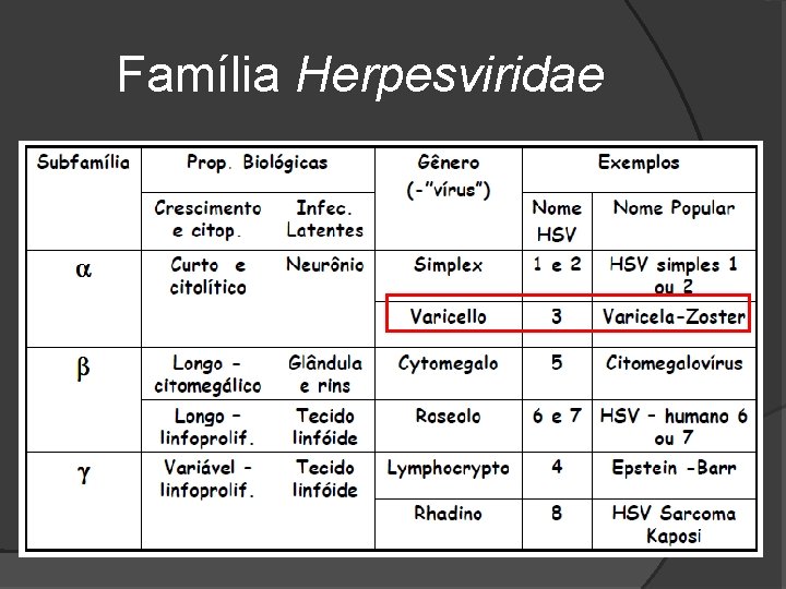 Família Herpesviridae 