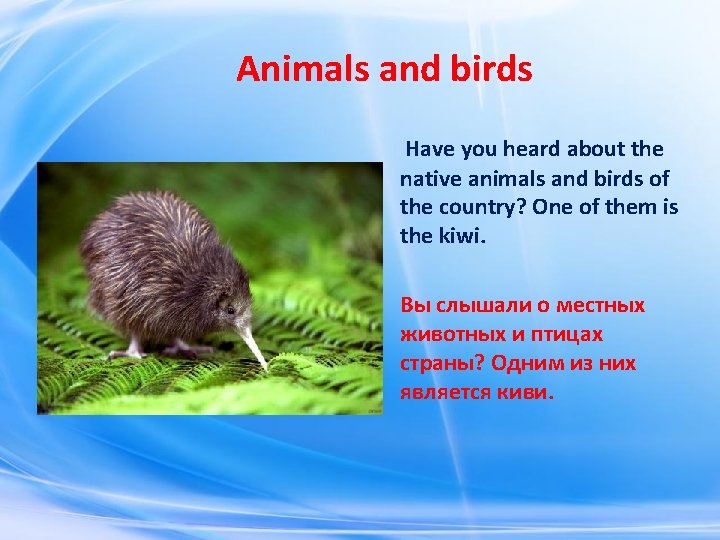 Animals and birds Have you heard about the native animals and birds of Animals and birds Have you heard about the native animals and birds of