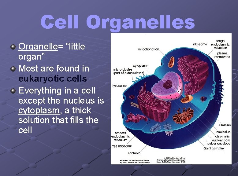 Cell Organelles Organelle= “little organ” Most are found in eukaryotic cells Everything in a