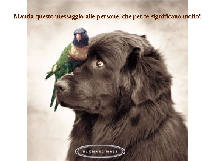 Manda questo messaggio alle persone, che per te significano molto! 