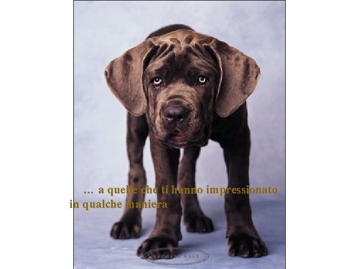 … a quelle che ti hanno impressionato in qualche maniera 