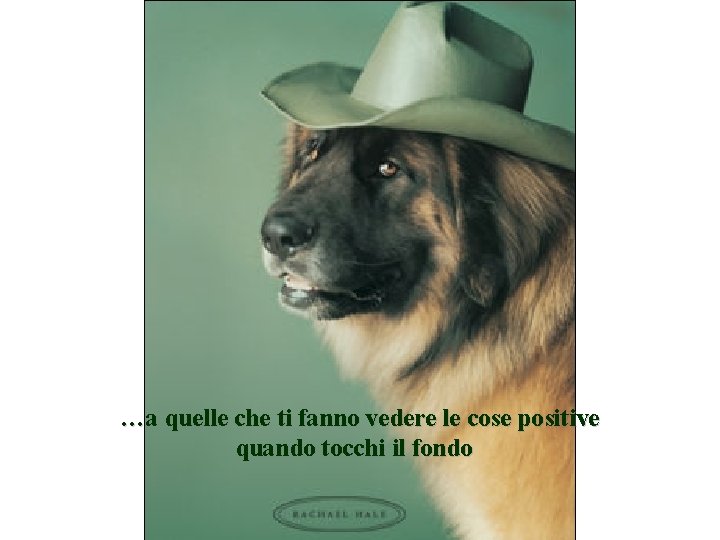 …a quelle che ti fanno vedere le cose positive quando tocchi il fondo 