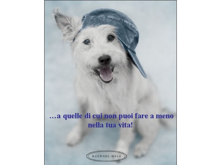 …a quelle di cui non puoi fare a meno nella tua vita! 