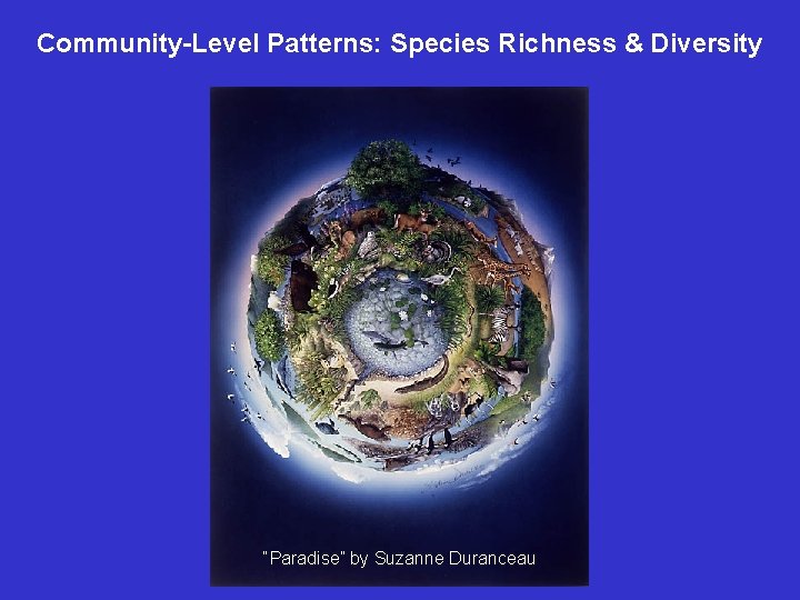 Community-Level Patterns: Species Richness & Diversity “Paradise” by Suzanne Duranceau 