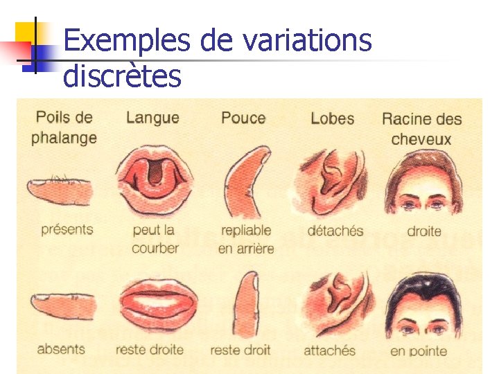 Exemples de variations discrètes 