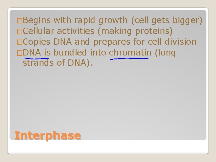 �Begins with rapid growth (cell gets bigger) �Cellular activities (making proteins) �Copies DNA and